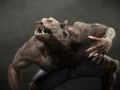 Werewolf Organic MOdelling