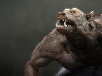 Werewolf Organic MOdelling