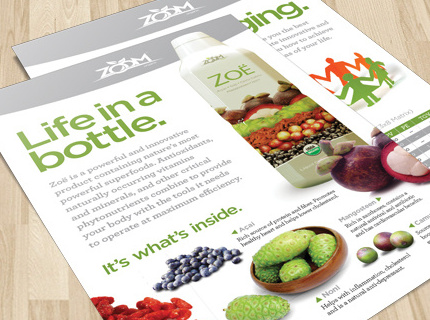 Zoom Organic Flyer