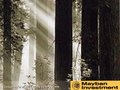 Maybank Investment Profile