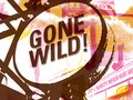 Minnesota Fringe Festival