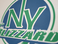 NY Jr. Blizzard Logo