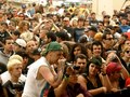Angry Samoans warped tour 2010