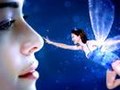 Duru - Find your own fairy