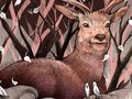 "I As Nature" The article about society’s changing relationship with nature. (Earth Island Journal Magazine)