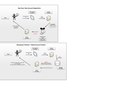 Use Case Back End Flows