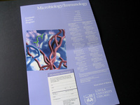 Department poster and book for Immunology, Loyola Chicago. Downey Weeks, NY