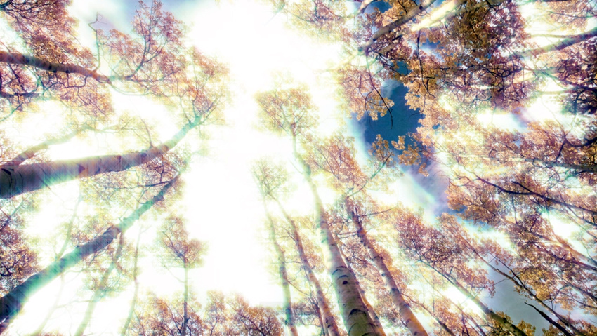 Looping Slideshow: Landscapes (2010)