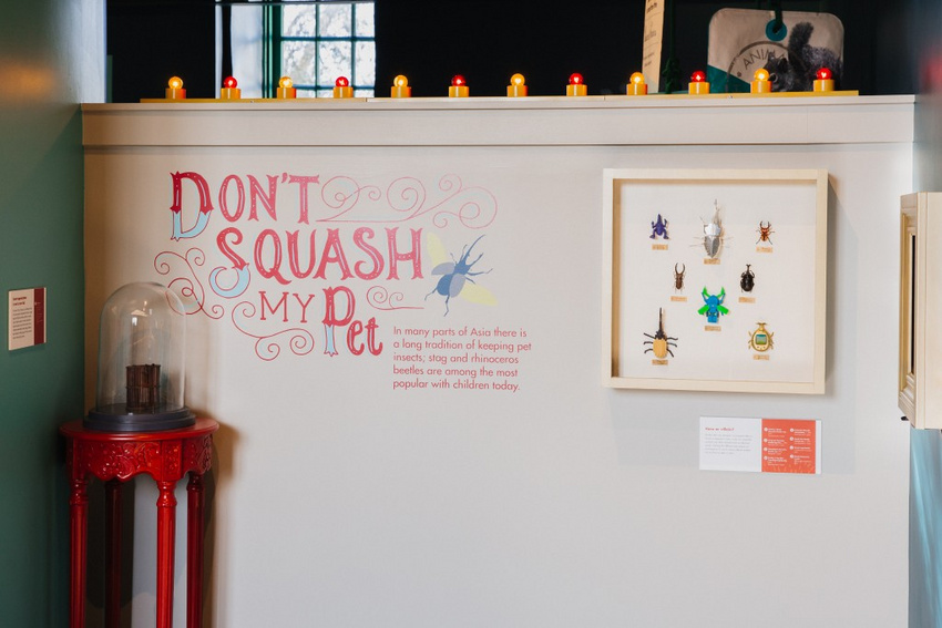 Photo: Stacy Keck | Exhibit Director: Erika Katayama | Exhibit Developer: Sarah Crawford | Graphic Design: Sonya Calderon | Fabrication: Kate Clyde, Libby Tillman