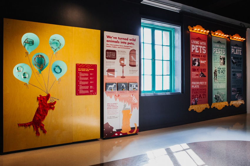 Photo: Stacy Keck | Exhibit Director: Erika Katayama | Exhibit Developer: Sarah Crawford | Graphic Design: Sonya Calderon | Fabrication: Kate Clyde, Libby Tillman
