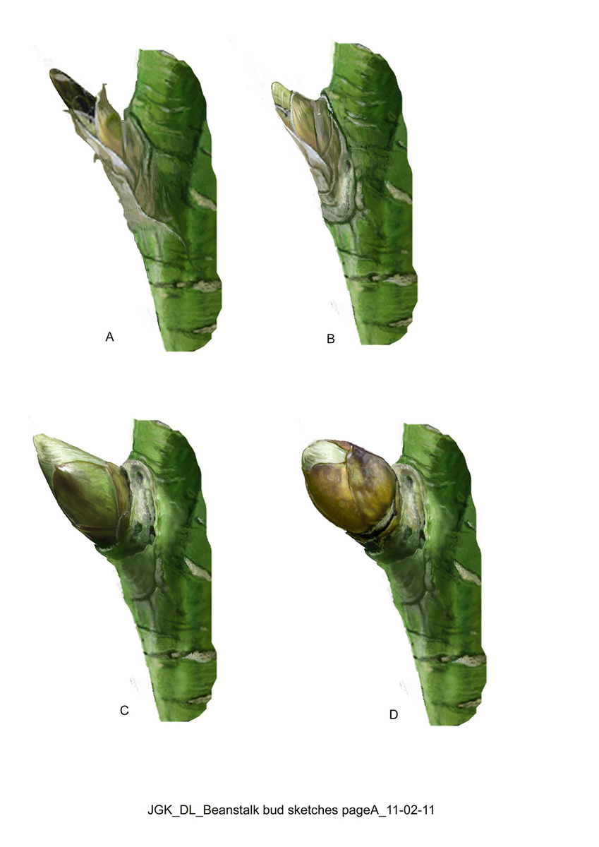 Beanstalk bud designs to aid climbing. © 2013 Warner Bros. Entertainment Inc. and Legendary Pictures