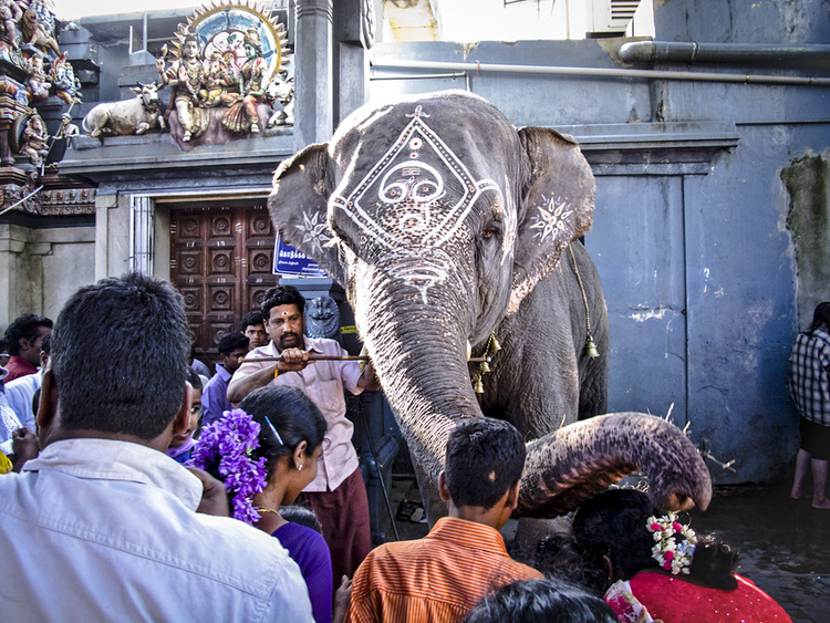 India
