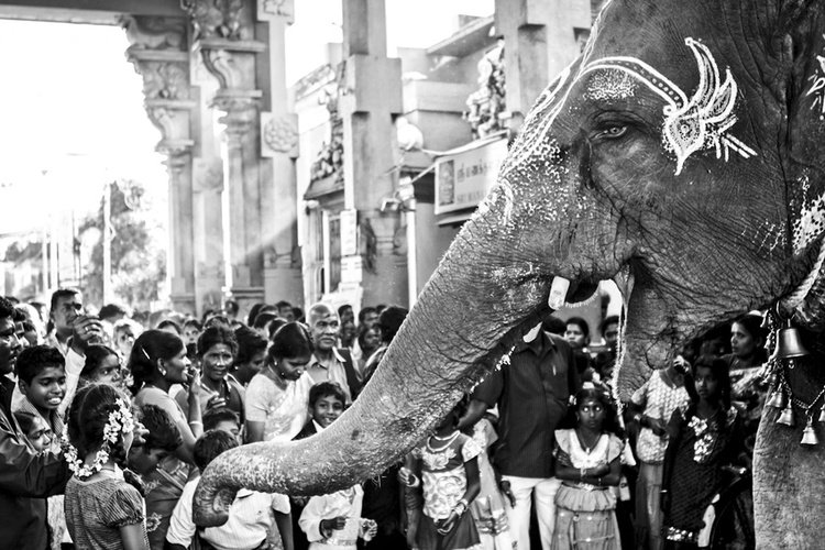 India