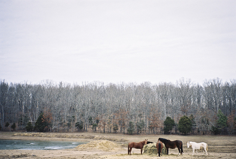 Tennessee
