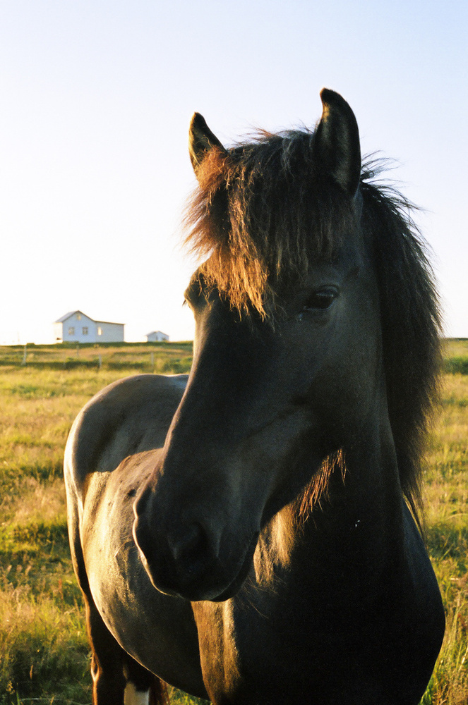 Iceland