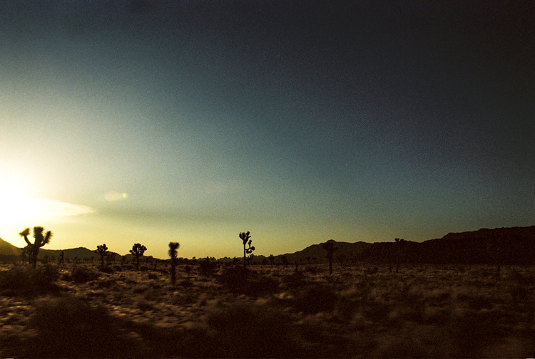 Joshua Tree, California