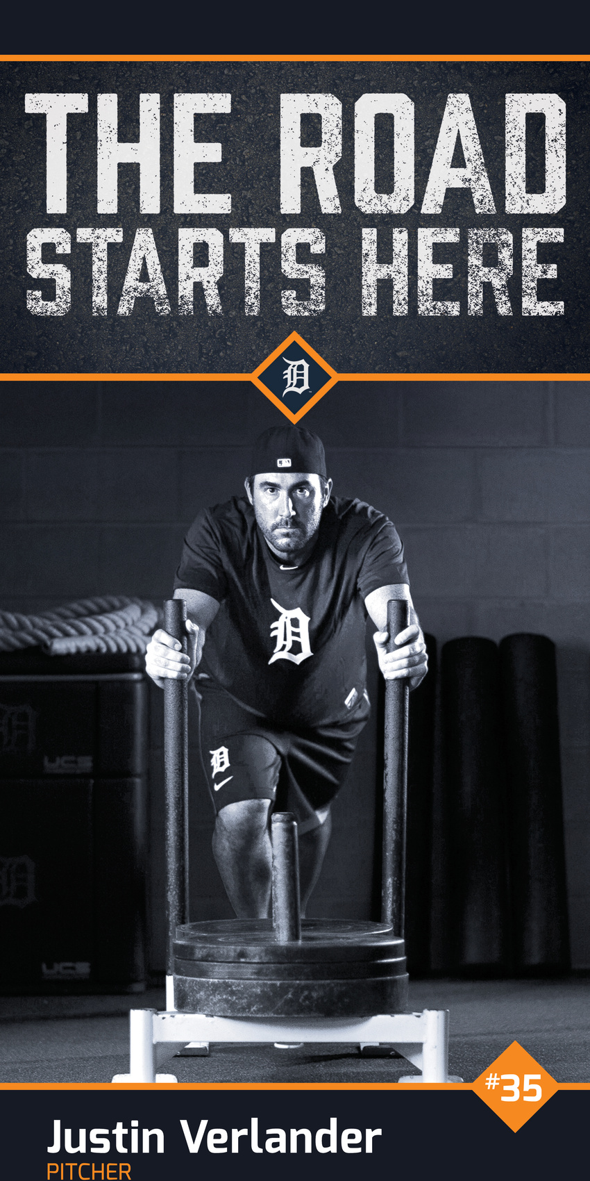 Banners for the Tigers 2016 Lead Off Party