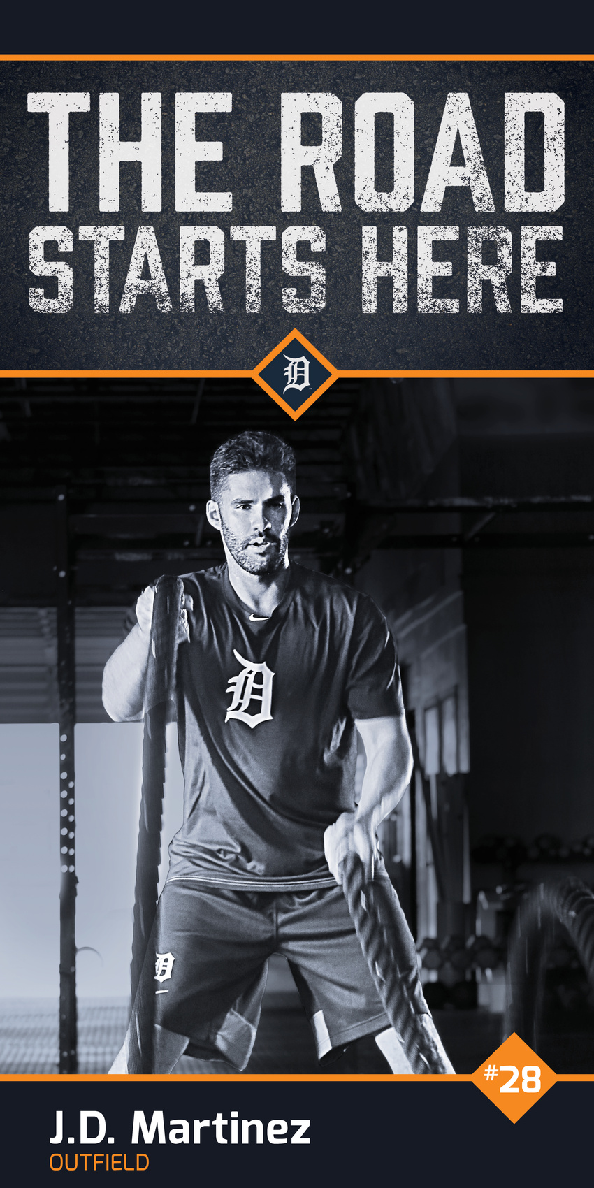 Banners for the Tigers 2016 Lead Off Party