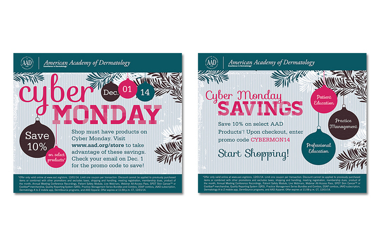 2014 Cyber Monday Email Series.2015 American Web Design Award Winner