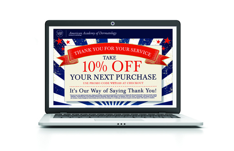 Veterans Day Email Design.2014 American Web Design Award Winner