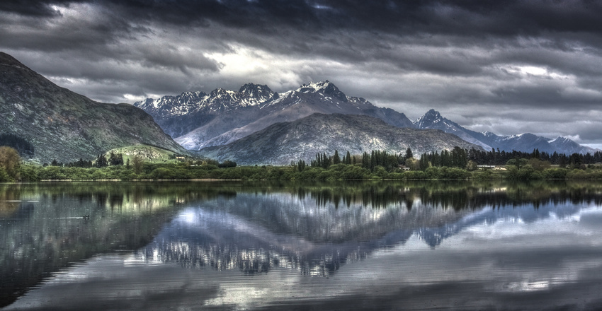 Purple Hayes . Lake Hayes . Queenstown New Zealand 900mm(w) x 450mm(h) $260 1100mm(w) x 550mm(h) $360 . $10 Courier Delivery anywhere in NZ.