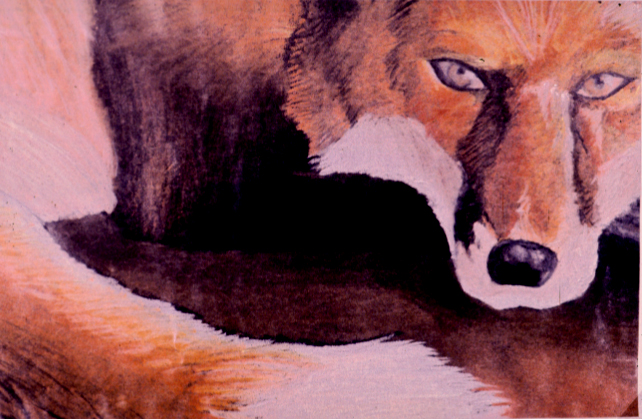 This is one of several chalk pencil illustrations.