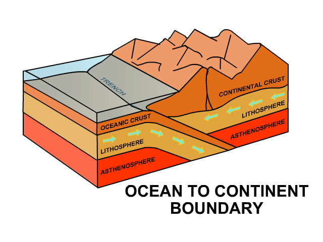 This is one of several vector illustrations created to accompany an online science learning module.