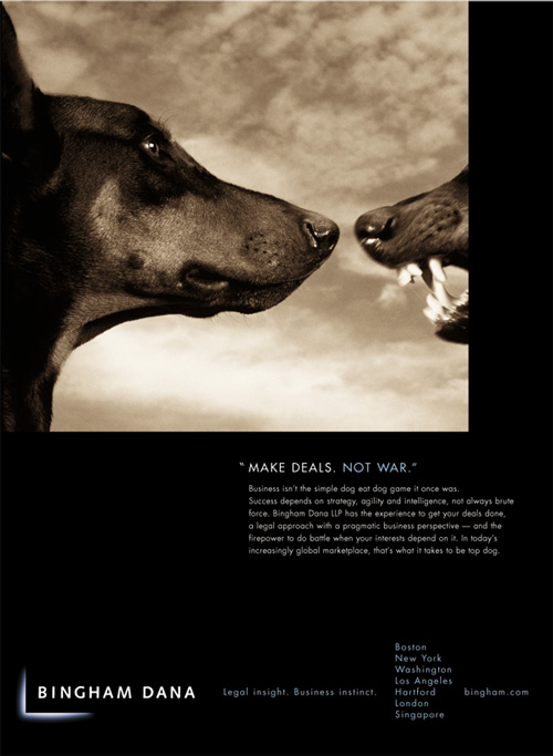 Bingham Dana McCutcheon Print Campaign