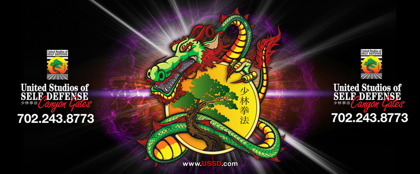USSD Banner