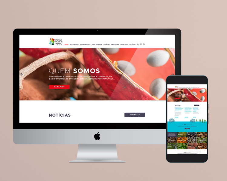 Site para Projeto Bem Diverso