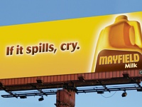 Mayfield Milk - If It Spills