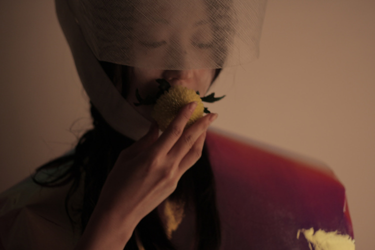 Still, digital film, 4:12 min loop, dimensions variable