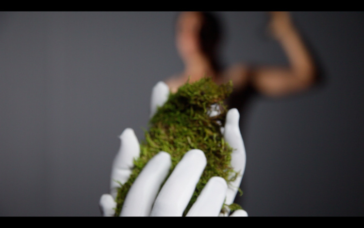 Still, digital video, 9:20 min loop, dimensions variable