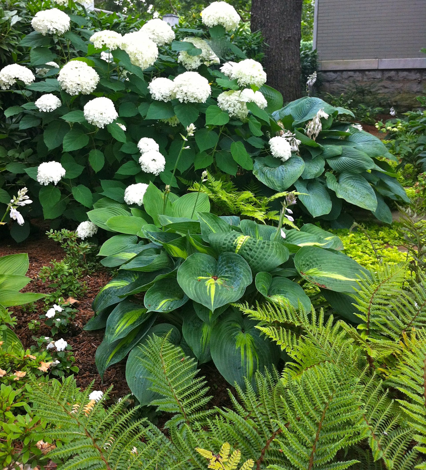 Greens!