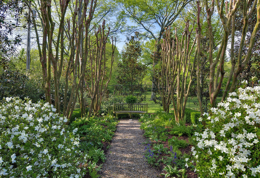 A landscape designed for sculptures is itself a collection of horticultural sculptures.
