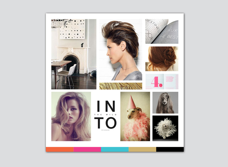 Sally Hershberger Professional Hair Care:Brand Mood Board (concept + art direction + design)