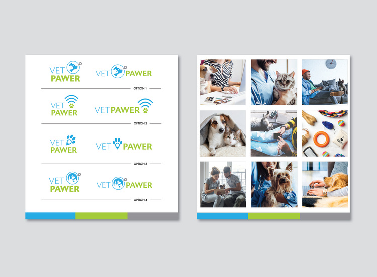 Vet Pawer:Logo concepts and Mood Board(concept + art direction + design)