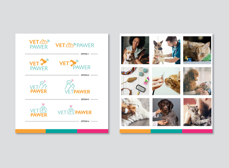 Vet Pawer:Logo concepts and Mood Board(concept + art direction + design)
