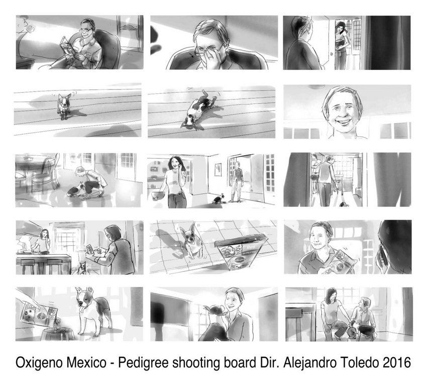 Oxigeno Mexico, Pedigree, shooting board Dir. Alejandro Toledo, 2016